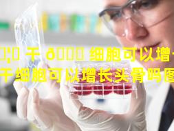 🦈 干 💐 细胞可以增长头骨吗（干细胞可以增长头骨吗图片）